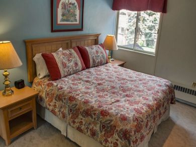 Vail Lionshead Condo 896265